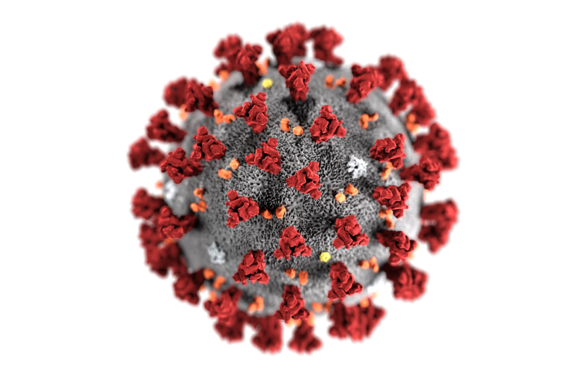 Coronavirus Covid-19